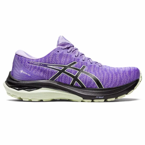 Asics 2000 11 GTX 501